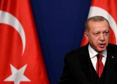 اردوغان: ترکیه روابط قوی با مصر دارد
