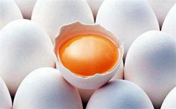 اولین محموله تخم مرغ نطفه دار وارد کشور می گردد