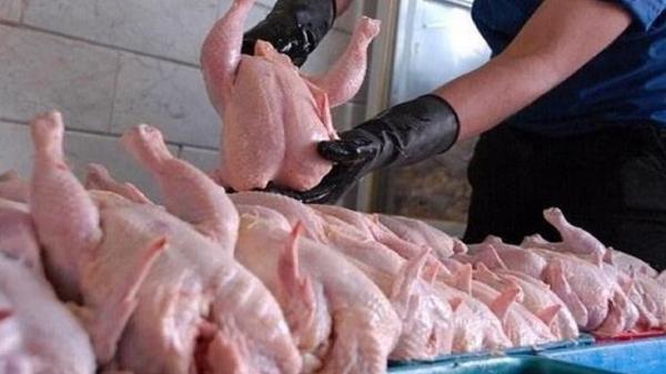 توزیع روزانه 3.5 تن مرغ گرم در سوادکوه